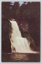 Bushkill Falls, Bushkill, Pa Postcard 2802 picture