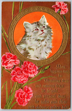Postcard Kitten May Bygone Days Be Memories Dear Embossed Winsch Back B25 picture