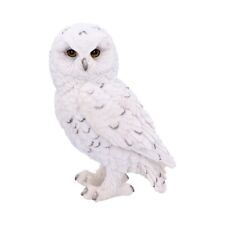 Nemesis Now Snowy Watch Small White Owl Figurine 13cm Resin Wildlife Birds Decor picture