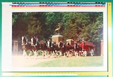 1970s 35x23 UNCUT Photo of BUDWEISER Beer Wagon Dalmatians Clydesdales at Gate picture
