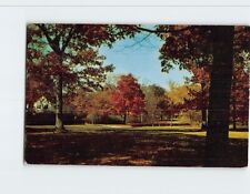 Postcard Autumn Scene When the Leaves Begin to Fall in Vermont USA picture