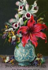 J C Schoeneck Furniture & Upholstery Still Life Victorian Trade Card Pittsburgh picture