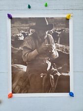 Vintage Western / Cowboy Theme Man Rolling Tobacco Cigarette On Horseback Poster picture