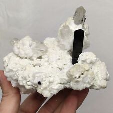 Natural Aesthetic Black Tourmaline Crystals Matrix Albite With Quartz, 677 Grams picture