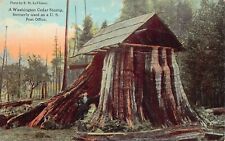 Elwha WA Washington Defunct Post Office Cedar Tree Logging Town Vtg Postcard B23 picture