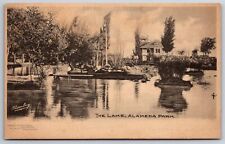 Alamogordo New Mexico~Alameda Park Lake~c1905 B&W Albertype Postcard picture