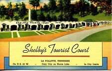 1939 Linen Postcard - Shelby's Tourist Court - LaFollette, Tennessee - EX picture