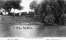 J67/ Belle Plaine Kansas RPPC Postcard c1920 Bartlett's Park Geese 141 picture