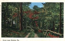 1938 Forest Trees Attraction Soghtseeing Benton Pennsylvania PA Posted Postcard picture