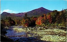 Typical New England Fall Autumn Scene Allen Koppel Color Cards Postcard UNP picture