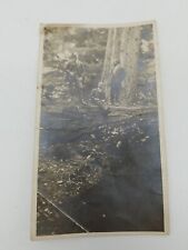 1910 Original Photograph  Timber Industry Workers Seattle Washington picture