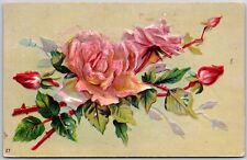 1911 Pink Roses Large Print Flower Greetings & Wishes Card Posted Postcard picture