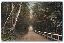 1919 State Road Blair Campton Plymouth New Hampshire NH Hand-Colored Postcard picture