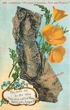 Postcard C-1910 California Los Angeles Poppy Flowers Cal Map Mitchell CA24-3553 picture