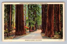 Redwood Highway CA-California Humboldt Redwood Park Vintage c1938 Postcard picture