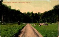 State Forestry, Wawbeck Road, TUPPER LAKE, New York Postcard - Valentine & Sons picture
