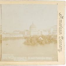 World's Fair Wooded Island Stereoview c1893 Chicago Columbia Exposition IL C1434 picture