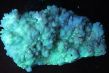FLUORESCENT : ARAGONITE crystals - Mina Potosi - Chihuahua, Mexico picture