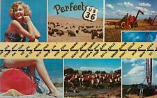 1950s US Highway 36 Colorado Missouri Attractions Noble Postcard 22-7736 picture