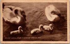 Vtg Point Pleasant Beach New Jersey NJ Silver Lake Swans 1920s Postcard picture