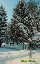 South Lyon MI Michigan Snow Winter Scene White Magic Christmas Vtg Postcard P6 picture