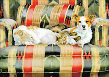 Jack Russell Terrier and Cat Note Card ~ Artist Olga Knight picture