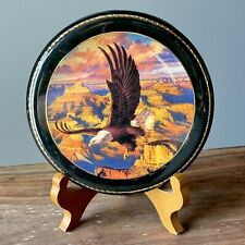 MINT Vtg 70’s American Bald Eagle Flying Over GRAND CANYON Wall Hang Frame Art picture