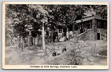 Hamilton Lake Indiana~Cottages At Cold Springs With View Of Lake~1924 Postcard picture