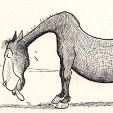 Vintage 1910s Hard Trip Cowboy Horse Wild West Comic Humor Funny Postcard picture