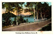postcard Greetings from Mulberry Grove Illinois 5856 picture