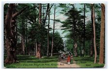 Postcard Island Grove, View through the Pines, Abington, MA 1912 B5 picture