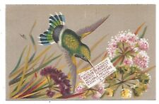 Maison Demorest  Green Humming Bird-Providence, R. I. Victorian Trade Card picture
