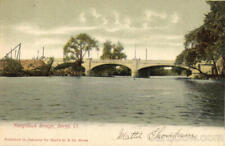 Derby,CT Naugatuck Bridge New Haven County Connecticut Antique Postcard Vintage picture
