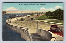 Tampa FL-Florida, East Entrance to Bayshore Drive, Autos, Vintage c1950 Postcard picture