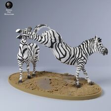 Breyer size traditonal 1/9 resin fighting zebra horse figurines - artist resins picture