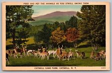 Catskill Game Farm New York Animals Deer Zoological Garden Public Park Postcard picture