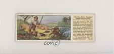 1935 Ty-phoo Swiss Family Robinson Tea Ernest and the Rats #18 z6d picture