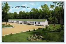 Forest Motel U. S. Hwy 20 Auburn Massachusetts MA Unposted Vintage Postcard picture