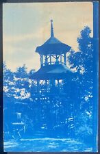 CYANOTYPE REAL PHOTO POSTCARD RPPC~People Rustic Summer House Observation Tower picture