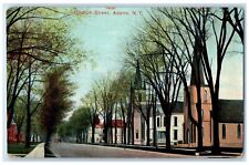 c1910 Scenic View Church Street Buildings Trees Adams New York Antique Postcard picture