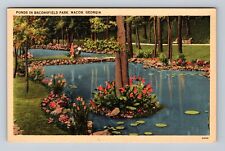Macon GA-Georgia, Ponds in Baconsfield Park, Antique Souvenir Vintage Postcard picture