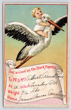 c1900s~Baby Rides Stork Express~Delivery~Antique Surreal Art Postcard picture