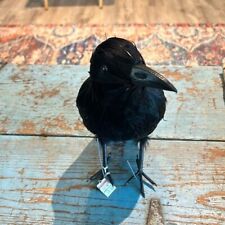 Vintage Feathered Crow purchased at Ben Franklin picture