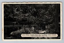 Cooksburgh PA-Pennsylvania, Cook Forest St Park, Ft Bridge, Vintage Postcard picture