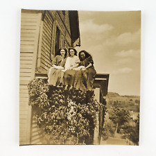 Porch Rooftop Pretty Girls Photo 1920s Young Women Garden Trellis Snapshot C2240 picture