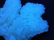 KB: FANTASTIC SW, LW FL. & PHOS. BLUE/WH CALCITE XLS ON MATRIX FROM ITALY picture