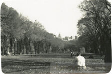 1950 College Boy Studying in Park Madison Wisconsin Univ of Wisconsin picture