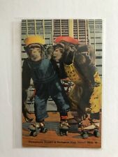 Collectable, Vintage, Antique, 1940's Postcards of the Detroit Zoo picture