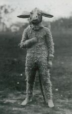 Odd Vintage Photo/Strange, Unusual, Creepy/MAN IN DONKEY COSTUME/4x6 B&W Reprint picture