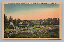 Perennial and Tropical Gardens-Thompson's Floridaland- ATL, Georgia GA Postcard picture